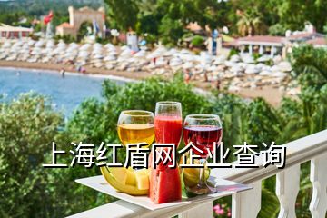 上海紅盾網(wǎng)企業(yè)查詢(xún)