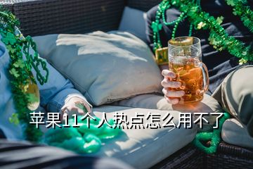 蘋果11個人熱點怎么用不了