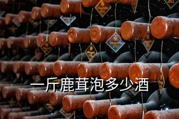 一斤鹿茸泡多少酒