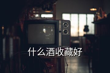 什么酒收藏好