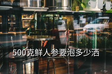 500克鮮人參要泡多少灑