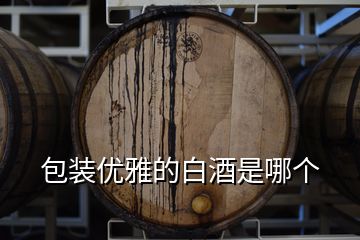 包裝優(yōu)雅的白酒是哪個(gè)