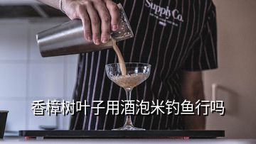 香樟樹(shù)葉子用酒泡米釣魚(yú)行嗎