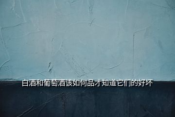 白酒和葡萄酒該如何品才知道它們的好壞