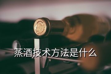 蒸酒技術方法是什么