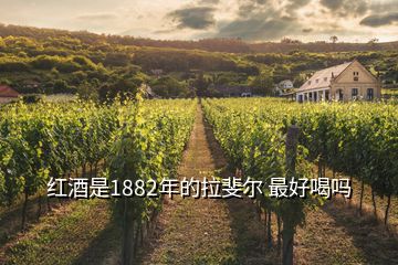 紅酒是1882年的拉斐爾 最好喝嗎