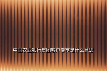 中國(guó)農(nóng)業(yè)銀行集團(tuán)客戶專享是什么意思