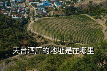 天臺(tái)酒廠的地址是在哪里