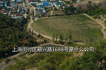 上海閔行區(qū)顓興路1688號是什么公司