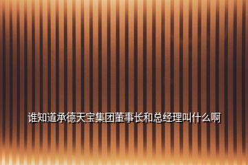 誰知道承德天寶集團(tuán)董事長和總經(jīng)理叫什么啊