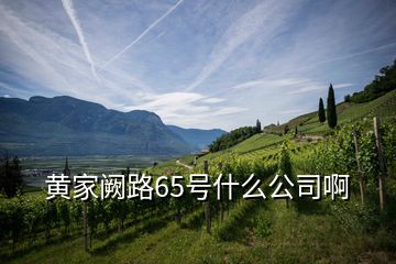 黃家闕路65號什么公司啊