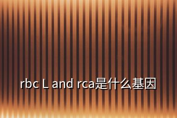 rbc L and rca是什么基因