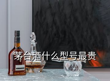 茅臺(tái)酒什么型號(hào)最貴