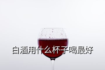 白酒用什么杯子喝最好