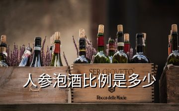 人參泡酒比例是多少