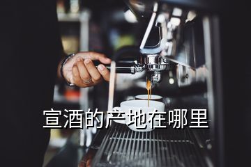 宣酒的產(chǎn)地在哪里