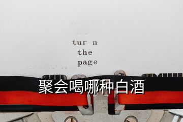 聚會(huì)喝哪種白酒