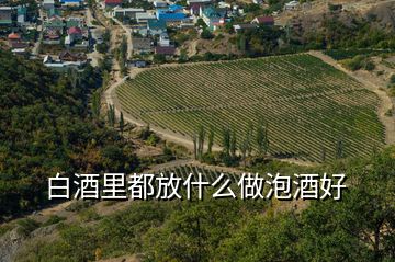 白酒里都放什么做泡酒好