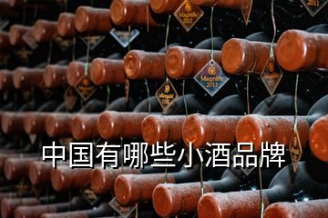 中國有哪些小酒品牌