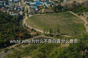 white wine為什么不是白酒 什么意思