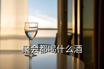 聚會(huì)都喝什么酒