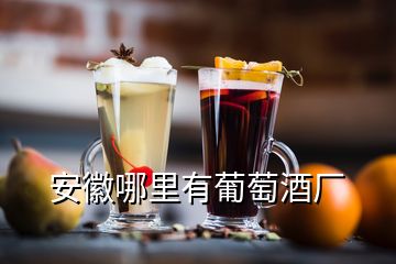 安徽哪里有葡萄酒廠