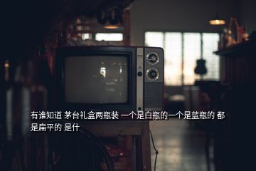 有誰知道 茅臺禮盒兩瓶裝 一個是白瓶的一個是藍瓶的 都是扁平的 是什