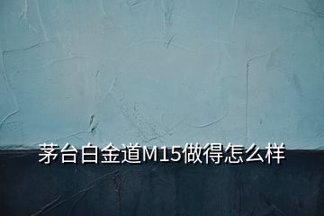 茅臺(tái)白金道M15做得怎么樣