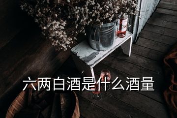 六兩白酒是什么酒量