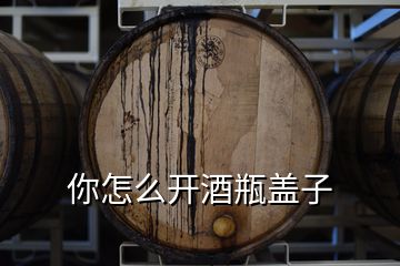 你怎么開酒瓶蓋子