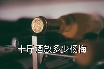 十斤酒放多少楊梅