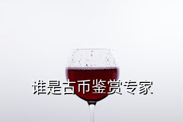 誰是古幣鑒賞專家