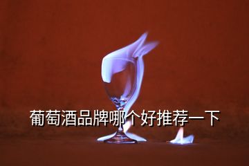 葡萄酒品牌哪個(gè)好推薦一下
