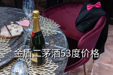 金盾二茅酒53度價(jià)格