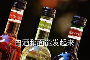 白酒和面能發(fā)起來