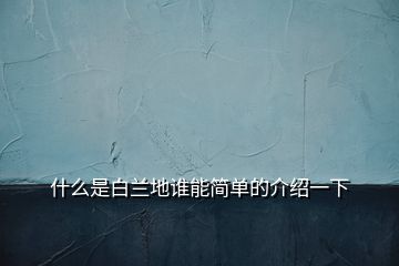 什么是白蘭地誰能簡(jiǎn)單的介紹一下