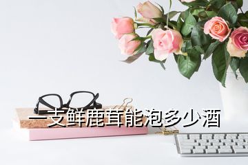 一支鮮鹿茸能泡多少酒