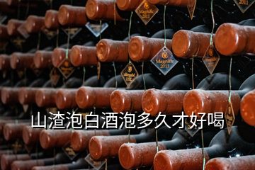 山渣泡白酒泡多久才好喝