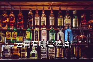 云南有哪些啤酒廠