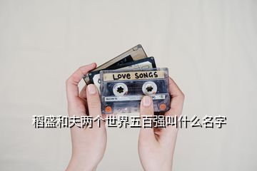 稻盛和夫兩個世界五百強叫什么名字