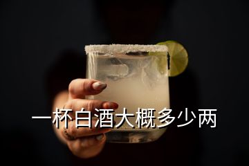 一杯白酒大概多少兩