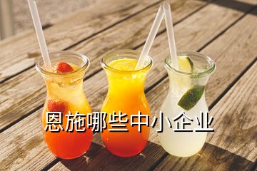 恩施哪些中小企業(yè)