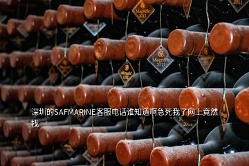 深圳的SAFMARINE客服電話誰(shuí)知道啊急死我了網(wǎng)上竟然找