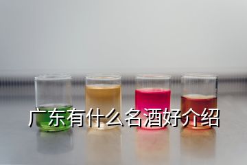 廣東有什么名酒好介紹