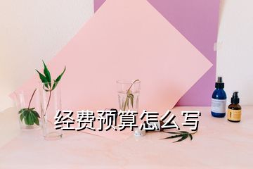 經(jīng)費(fèi)預(yù)算怎么寫