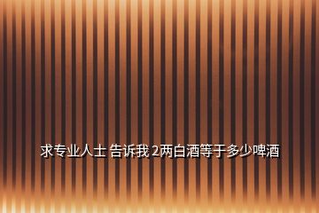 求專業(yè)人士 告訴我 2兩白酒等于多少啤酒