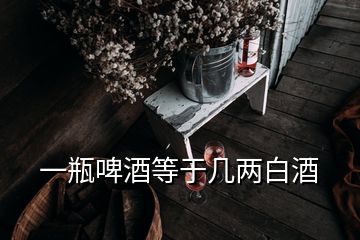 一瓶啤酒等于幾兩白酒