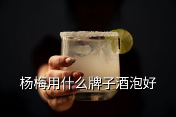 楊梅用什么牌子酒泡好