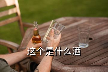 這個(gè)是什么酒