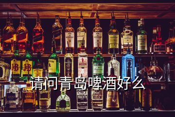 請(qǐng)問(wèn)青島啤酒好么